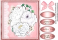 Beautiful White Roses on lace 2,