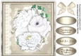 Beautiful White Roses on lace 4
