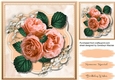 Beautiful Peach roses on Babys Breath