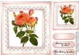 Beautiful Apricot Roses on a Lattace mat  4