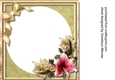 Incert, Blank Christmas Amaryllis