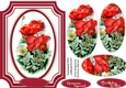 Beautiful Poppies in a Oval Frame