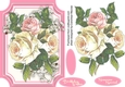 Lovely Pink and Craem Roses on Babys Breath