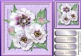 Stunning Lilac and White Peonies