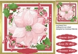 Lovely Pink Poinsettia and Holly
