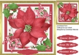 Lovely Red Poinsettia and Holly 