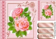 Beautiful pink Roses on White Lace