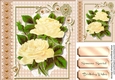 Beautiful Yellow Roses on white Lace