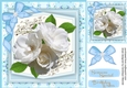Beautiful White roses with Babys Breath