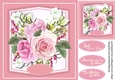 Beautiful Pink roses and Blossom