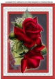 Beautifu A4 With Red Roses on lace 
