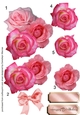 Beautiful Pink Roses and bow