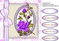 Beautiful Lilac rambling Rose 2