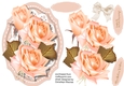 Beautiful Summer Roses 2