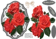 Beautiful Summer Roses 4