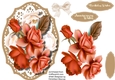 Beautiful Summer Roses 5