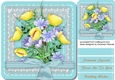 Lovely Bouquet of Poppys and Daisys 