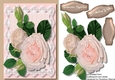 Beautiful pink Roses on Lace