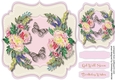 Beautiful Chrysanthemums and Butterflys 2