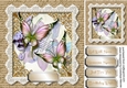 Beautiful Butterflys and Lace 3