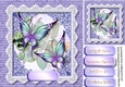 Beautiful Butterflys and Lace 4