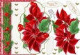 Over the Edge Beautiful Poinsettias