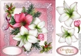 Beautiful Festive Amaryllis on Lace