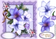 Beautiful Lilac Festive Amaryllis