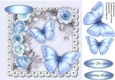 Beautiful Wings and Roses  3,