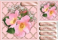 Beautiful Pink Roses on a Golden Mat