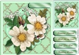 White Brier Roses on a Golden Mat