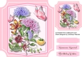 Beautiful Spray of Meadow Flowers