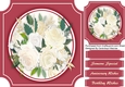 Beautiful MixedAnemomies on a Cut Out Mat