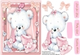 Beautiful Bear in a Pink Blanket