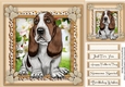 Lovely Barnet Basset Hound