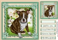 Lovely Boston Terrier