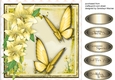 Stunning Summer Butterflys and Lillys 1