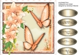 Stunning Summer Butterflys and Lillys 2 