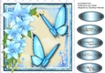 Stunning Summer Butterflys and Lillys 3