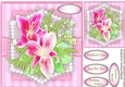 Beautiful Pink Flower lily on lace