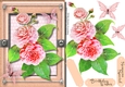 Beautiful Pink Camellias and Butterflys.