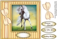 Beautiful White Stallian