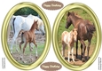 2 , Beautiful Oval Toppers With Mother and Foal ,