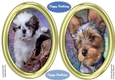 2 Beautiful Gold Toppers , with Dogs