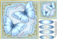 Blue Butterflys on a Shaped Mat