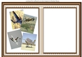 Blank incert Planes