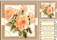 Beautyiful Apricot roses