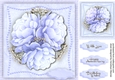 Beautiful Lilac Peony Roses