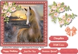 Stunning Horse and Blossom