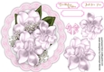 Beautiful Pink Magnolias on a lace mat 4